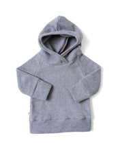 Load image into Gallery viewer, trademark raglan hoodie - ash - polar fleece