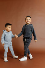 Load image into Gallery viewer, trademark raglan hoodie - ash - polar fleece