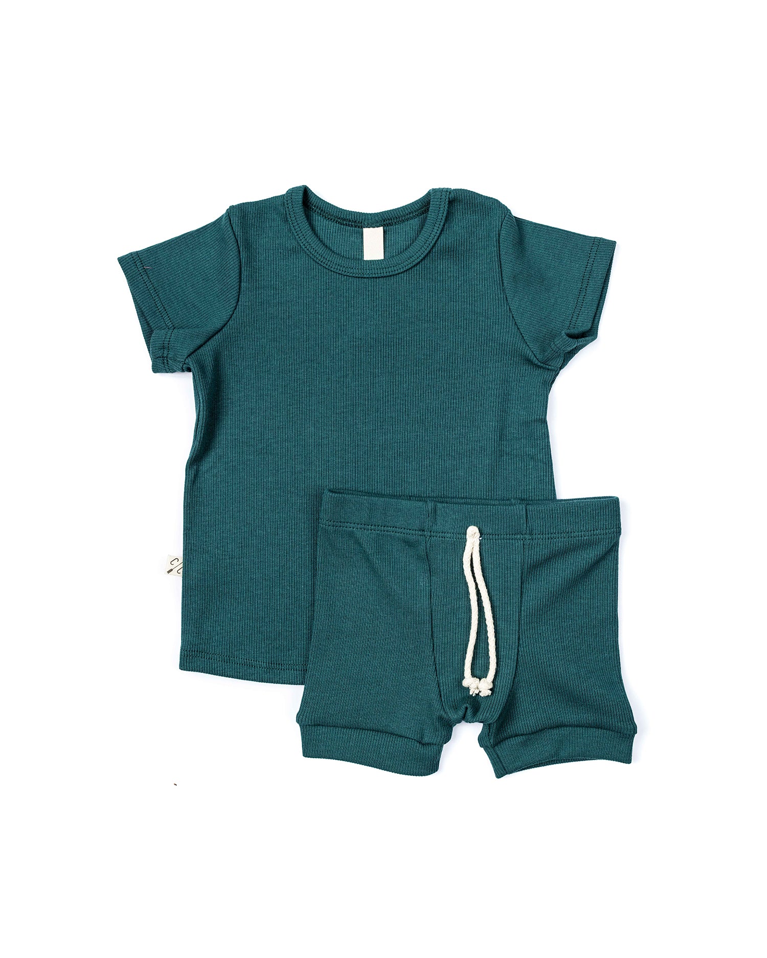 rib knit tee CO - spruce