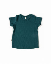 Load image into Gallery viewer, rib knit tee CO - spruce