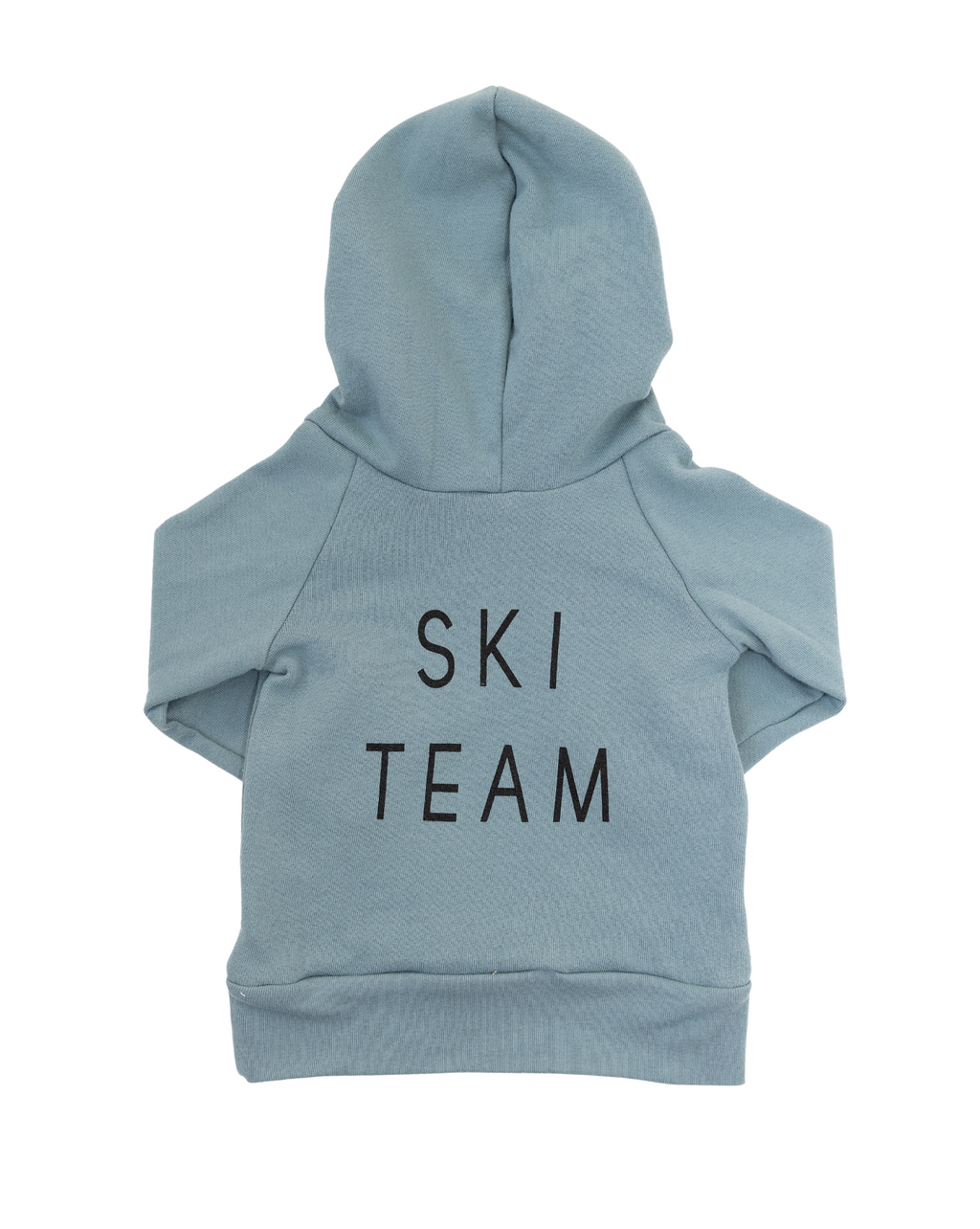 trademark raglan hoodie - ski team on rainwater (black)