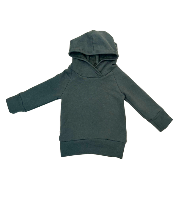 trademark raglan hoodie PREORDER - cedar