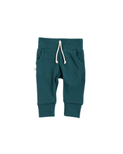 Load image into Gallery viewer, rib knit joggers CO - spruce