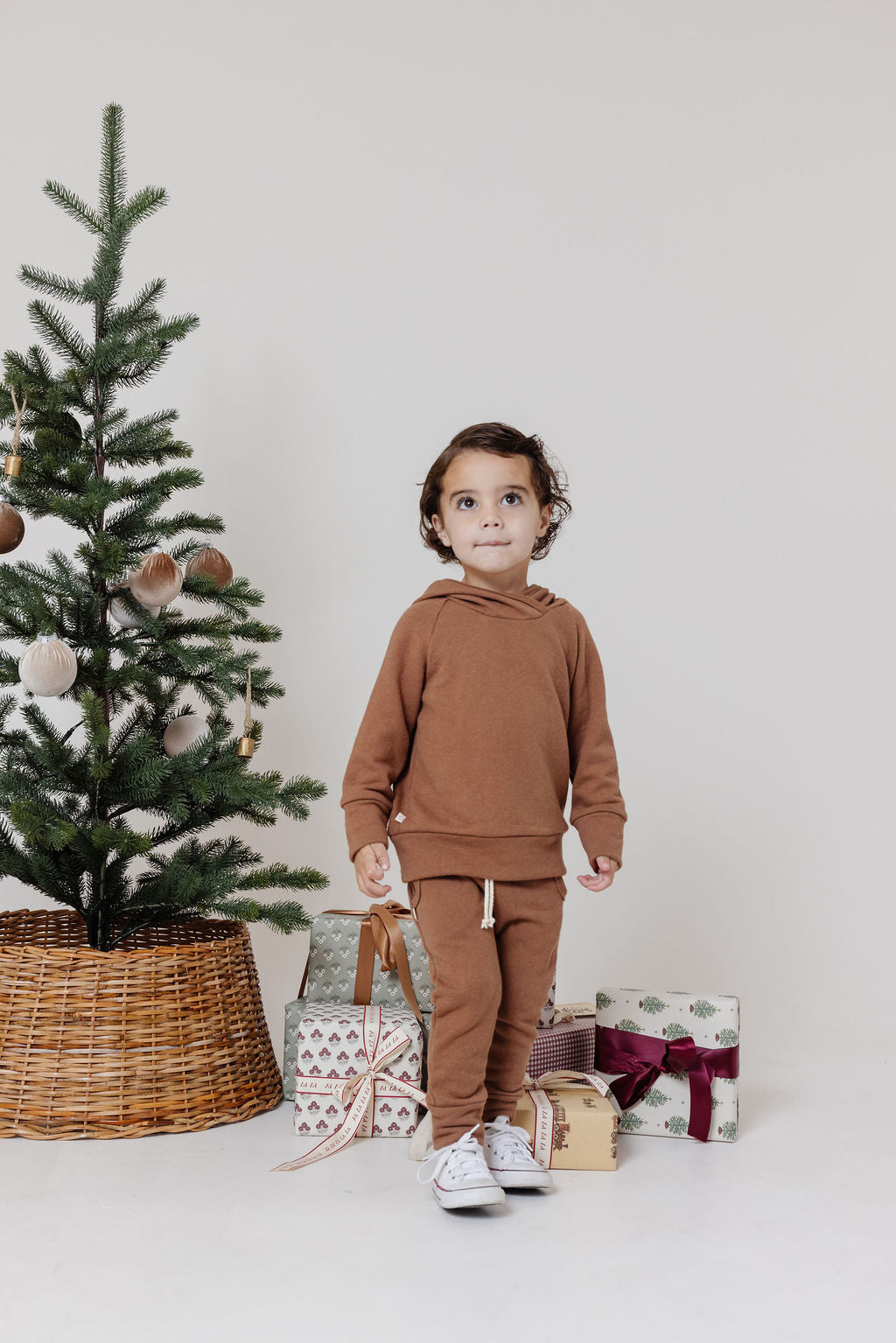 trademark raglan hoodie PREORDER - pecan pie