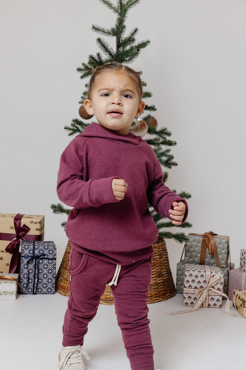 trademark raglan hoodie PREORDER - cranberry