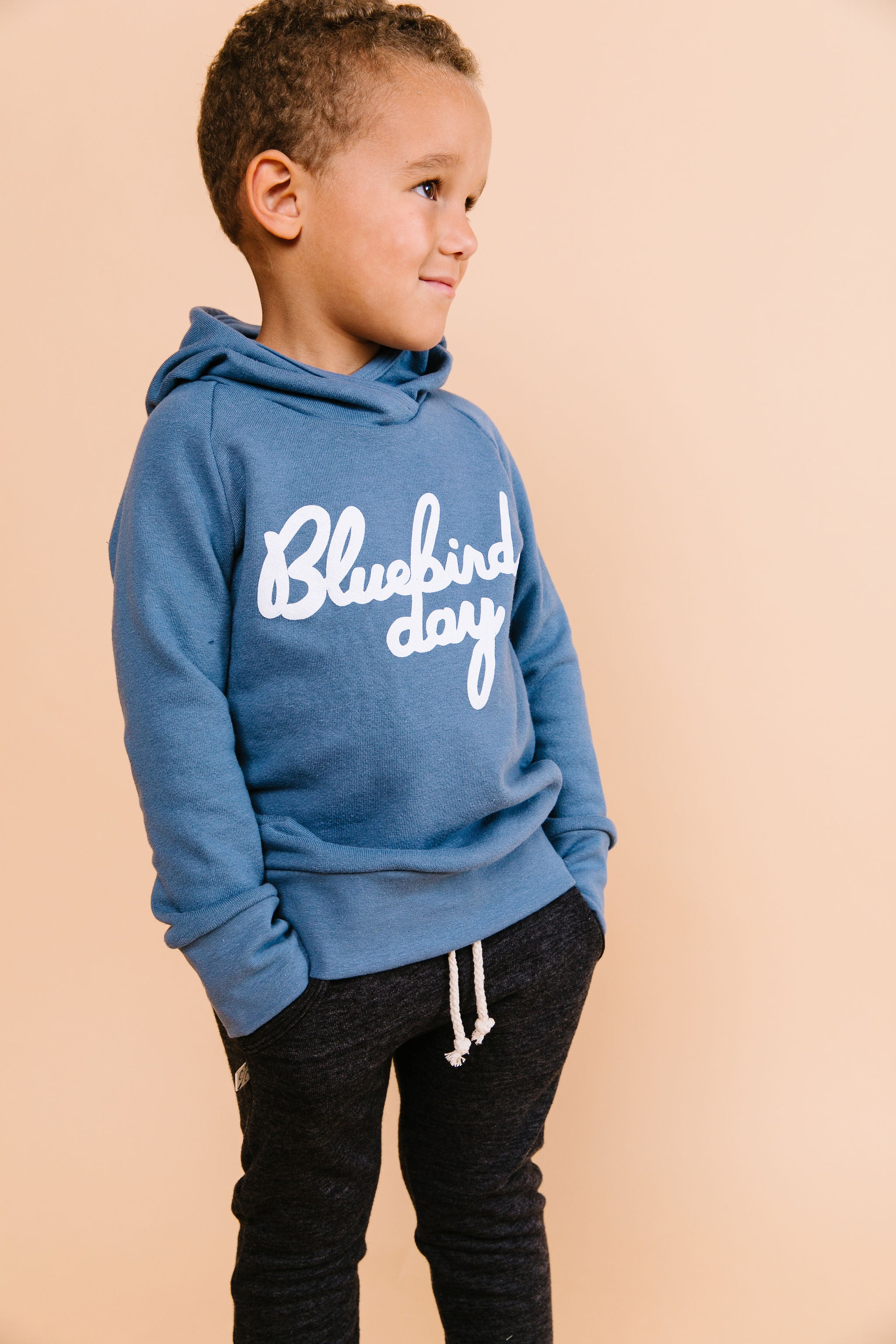 trademark raglan hoodie CO - bluebird day