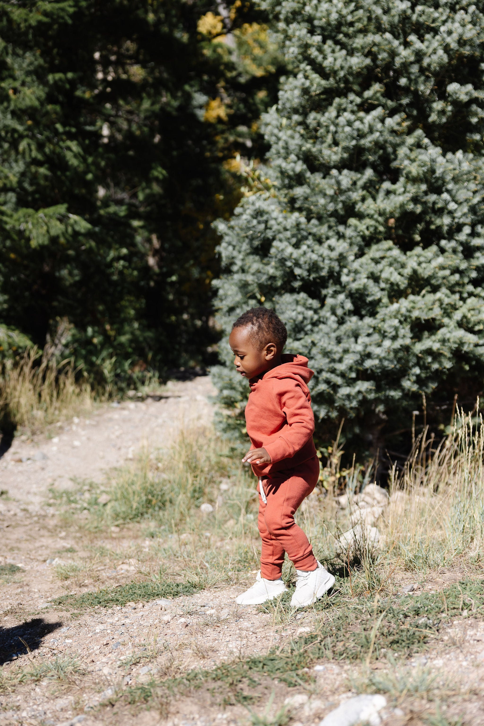 trademark raglan hoodie CO - barn red