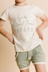basic tee - sequoia on natural