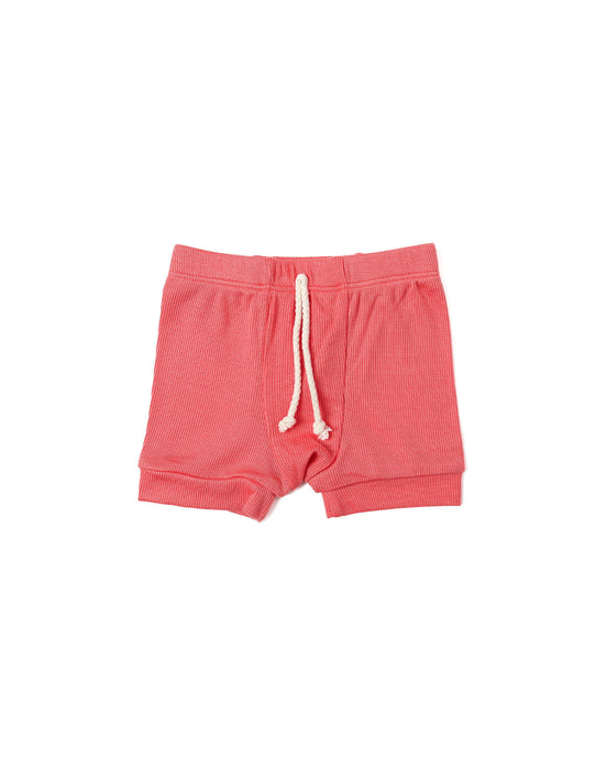 rib knit shorts CO - bright coral