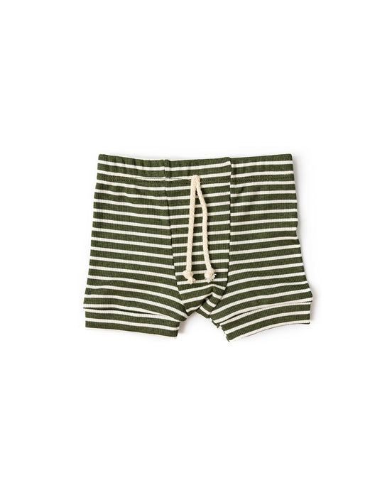rib knit shorts CO - evergreen inverse stripe